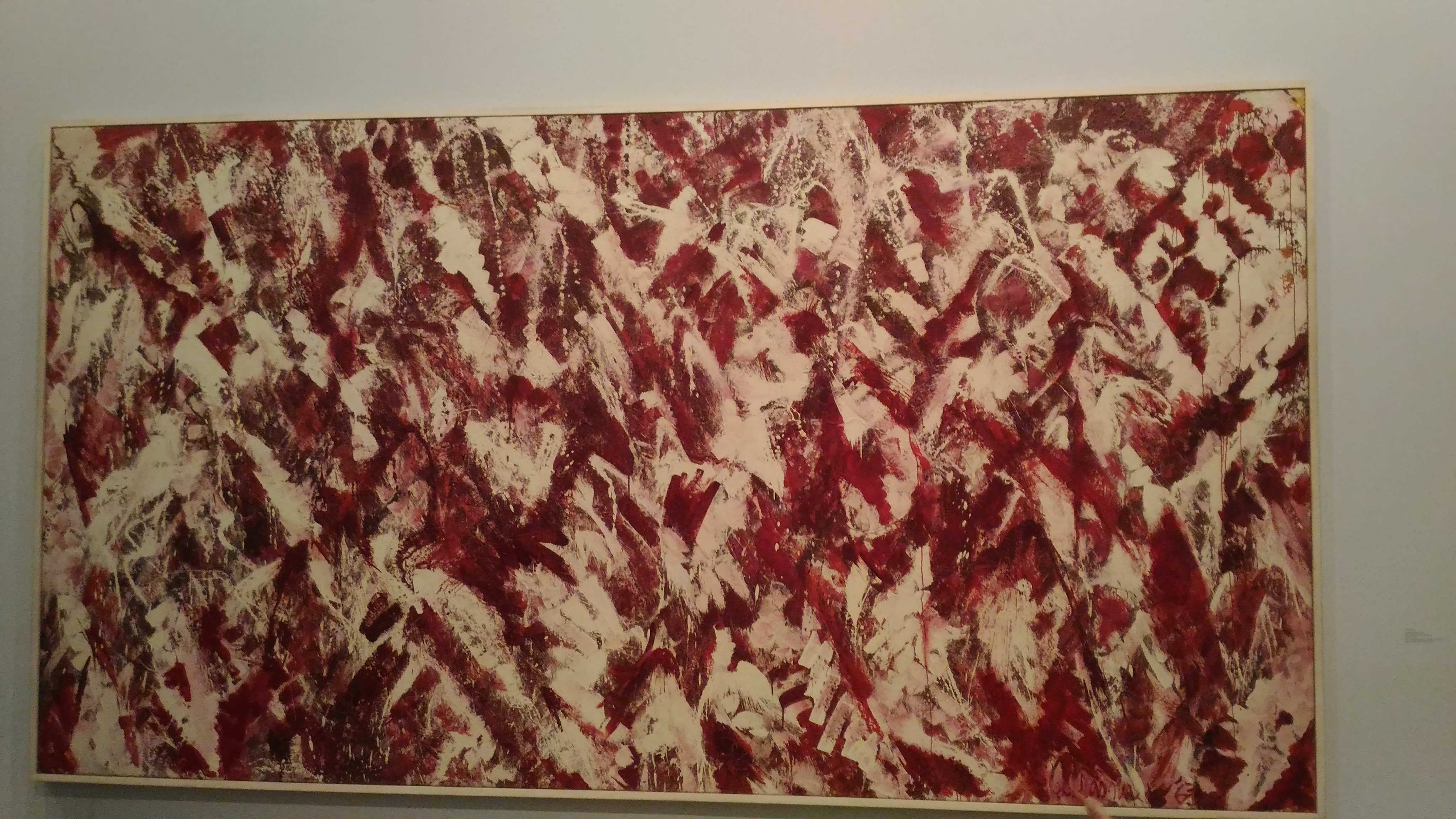 P_20151228_005009 (1)